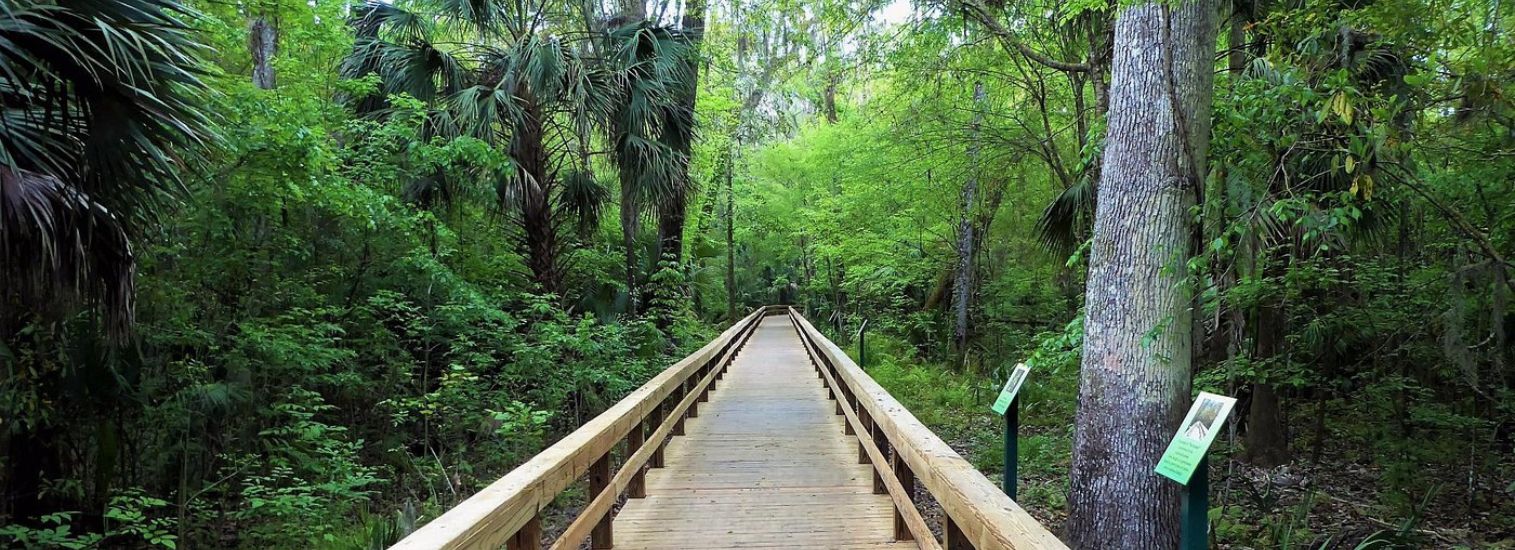 Places to visit in Longwood, Florida
