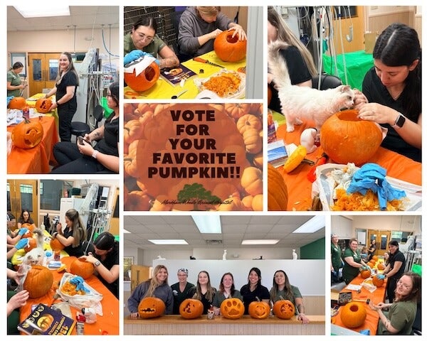 Pumpkin Carving Collage